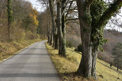 Empty road amidst trees