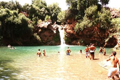 Tourists on tree