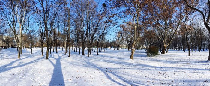 Scenic view of snow covered landscape