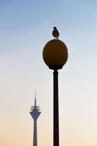 Low angle view of street light against sky