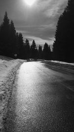 Road amidst trees against sky during winter