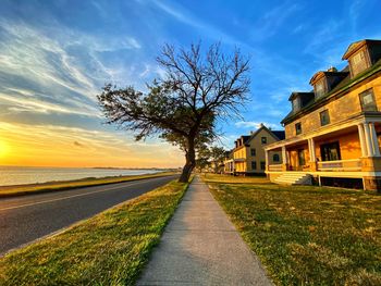 Road amidst trees and buildings against sky during sunset