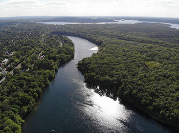 High angle view of river amidst trees in forest