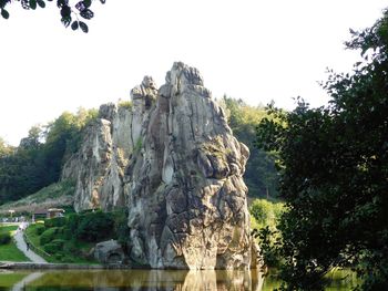 Low angle view of trees against clear sky