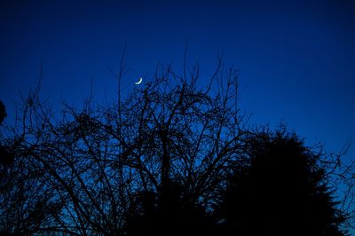 Low angle view of silhouette bare tree against sky