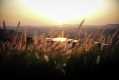 Scenic view of field against sky during sunset