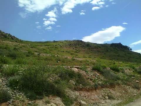 cloud - sky, sky, landscape, nature, no people, mountain, day, blue, outdoors, tree