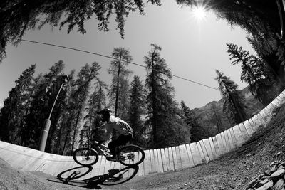 Man riding bicycle by trees against sky