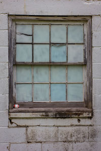 Close-up of window