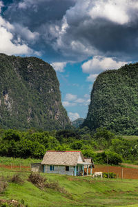 House amidst trees and buildings against sky in viñales cuba