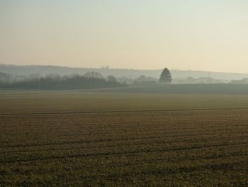 Scenic view of field against sky during foggy weather