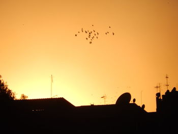 Silhouette birds flying in sky during sunset