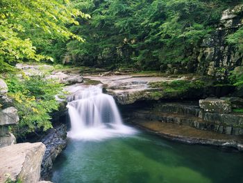 River flowing through forest