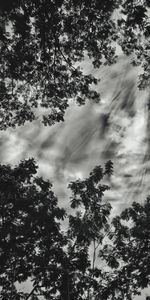 Low angle view of silhouette trees against sky