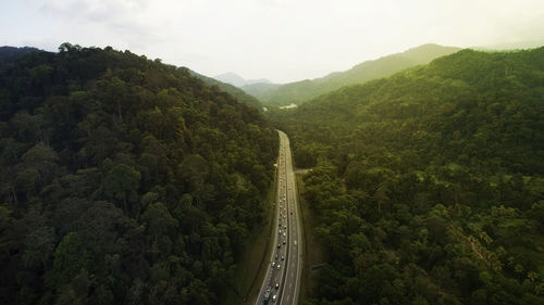 High angle view of road amidst trees