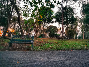 Trees on grass