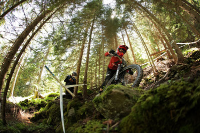 Man riding bicycle in forest