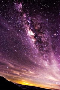 night