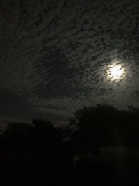 Silhouette of tree against sky at night