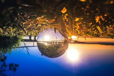 Close-up of illuminated tree by swimming pool against bright sun