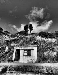 Built structure against trees