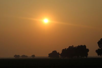 Silhouette trees on field against orange sky