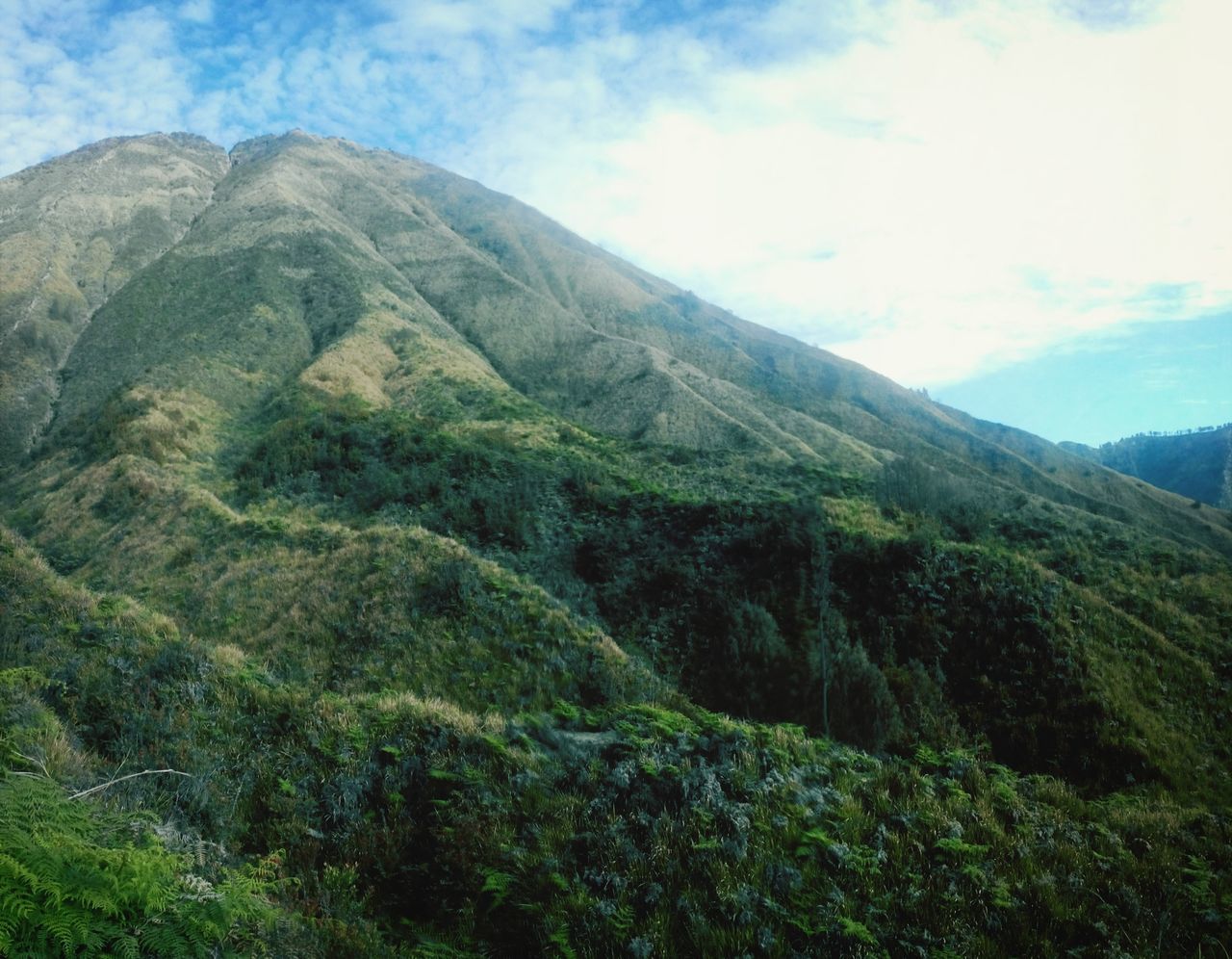 mountain, tranquil scene, sky, tranquility, scenics, beauty in nature, mountain range, green color, nature, landscape, tree, cloud - sky, non-urban scene, cloud, growth, idyllic, lush foliage, day, remote, outdoors