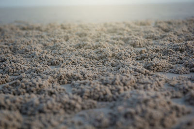 Full frame shot of pebbles on beach