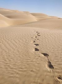 Sand dunes in desert