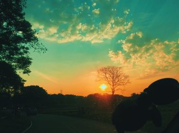 Silhouette trees against sky during sunset