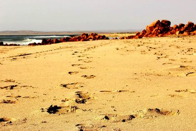 Scenic view of beach against clear sky