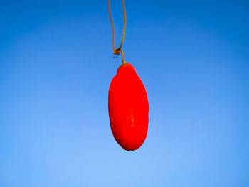 Close-up of apple against blue sky