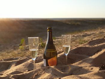 Glass of wine bottles on land