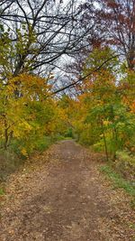 Road amidst trees against sky during autumn