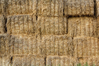 Full frame shot of hay bales on landscape