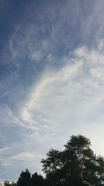 Low angle view of trees against sky