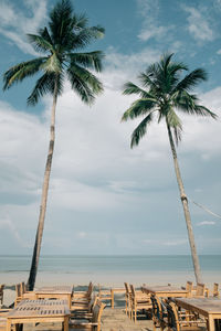 Palm trees on beach against sky