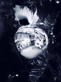 Close-up of christmas decoration hanging on tree