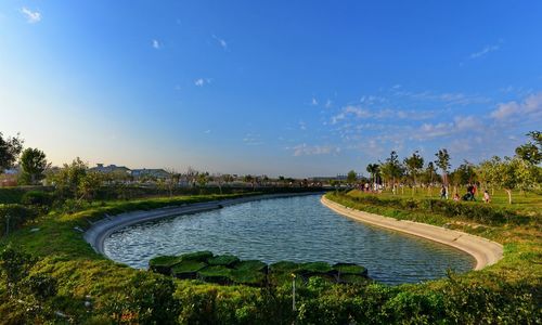 Scenic view of road by trees against blue sky