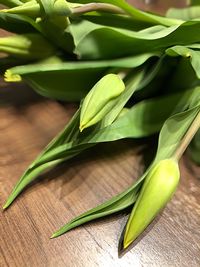 Close-up of green leaves on table