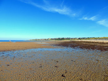 Scenic view of beach against blue sky