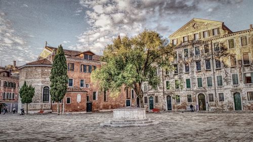 Trees in front of buildings against sky