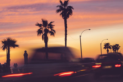 Silhouette palm trees on street against sky during sunset