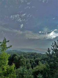 Scenic view of forest against sky