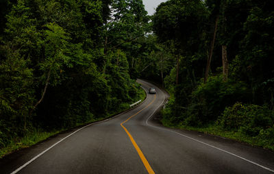 Country road amidst trees in forest