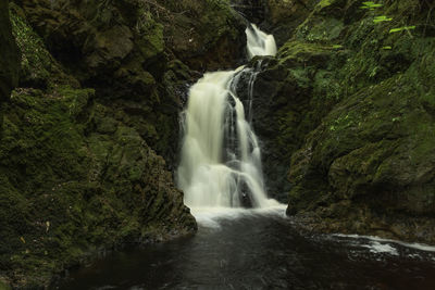 Scenic view of waterfall in forest