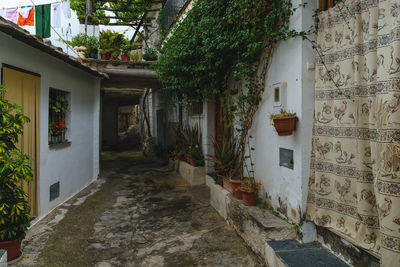 architecture
