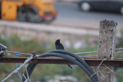 focus on foreground