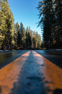 Surface level of road along trees