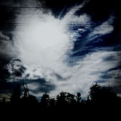 Silhouette trees against sky at night